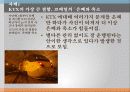 공학윤리_발표 11페이지