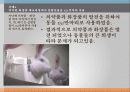 공학윤리_발표 12페이지