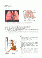 폐암 (Lung cancer) 문헌고찰 2페이지