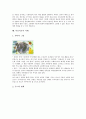 [미술치료][소조활동][재활환자][자아개념]미술치료의 개념, 미술치료의 발달, 미술치료의 프로그램, 미술치료의 소조활동, 미술치료와 재활환자, 미술치료와 자아개념, 미술치료의 사례, 미술치료의 장점 분석 9페이지
