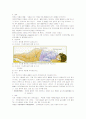 전치태반(Placenta previa) 문헌고찰 2페이지