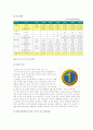 [국내기업의 해외진출사례] 종가집 김치 11페이지