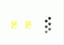 [국제경영론]애플(Apple) 기업분석과 경영전략 분석 9페이지