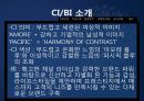 [국제마케팅론]아모레퍼시픽 전략분석 14페이지