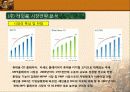 [국제마케팅]한국기업의 사례조사 - 레인콤 6페이지