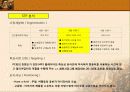[국제마케팅]한국기업의 사례조사 - 레인콤 8페이지