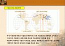 [국제마케팅]한국기업의 사례조사 - 레인콤 10페이지