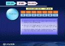 [국제마케팅론]현대 자동차의 인도 진출 전략 7페이지
