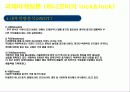 [국제마케팅론]하나코비 락앤락 마케팅 전략 13페이지