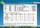 [기업사례분석]대우일렉트로닉스 마케팅전략 16페이지