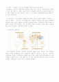 [한국기업사례조사](주)레인콤 전략분석 10페이지