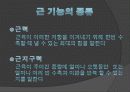 근기능  강화 4페이지
