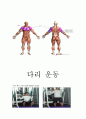헬스다이어트 레포트 24페이지