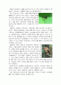다큐 2페이지