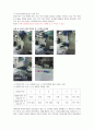 [일반화학실험] 크로마토그래피 3페이지