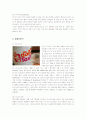 미스터도넛마케팅전략 6페이지