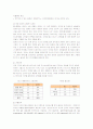 미스터도넛마케팅전략 14페이지