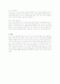미스터도넛마케팅전략 21페이지