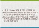 GI bleeding conference 9페이지