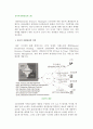 전사적자원관리시스템,전사적 자원관리의 의의와 특성 및 구조, 발전과정,ERP 시스템의 구조 2페이지