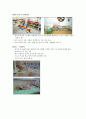 보육학개론-기말교안 24페이지