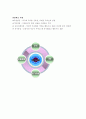 아동가족의 이해_중간교안 27페이지