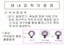 스쿠버다이빙과 압력과의 관계 12페이지