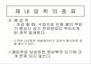스쿠버다이빙과 압력과의 관계 14페이지