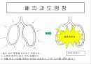 스쿠버다이빙과 압력과의 관계 16페이지