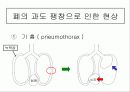 스쿠버다이빙과 압력과의 관계 17페이지