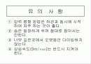 스쿠버다이빙과 압력과의 관계 21페이지