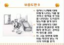 [심리검사] CAT (아동용 회화 통각검사) PPT 31페이지