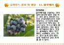[식품영양] 슈퍼푸드 (Super Food) PPT 27페이지
