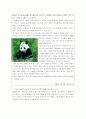 중국 소황제에 관하여 7페이지