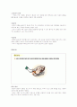 아동가족의 이해-중간교안 45페이지
