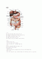 아동영양학-중간교안 7페이지