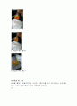 실험 2 회분함량측정 4페이지