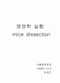 실험제목 쥐 해부 실험 4페이지