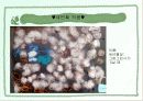 아동미술분석 8페이지