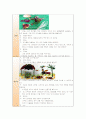 자연물을 활용한 미술활동이 유아의 환경 친화적 태도에 미치는 영향(미술) 16페이지