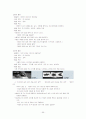 아동수과학지도-기말교안 56페이지