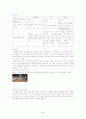 아동수과학지도-기말교안 61페이지