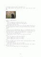 아동수과학지도-기말교안 90페이지