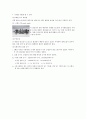 자동차 (기관)실린더블록~크랭크축 11페이지