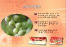 오미자 4페이지