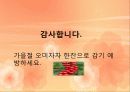 오미자 14페이지