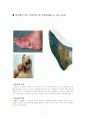 당뇨병환자를 위한 발 간호(Diabetic foot care) 1페이지