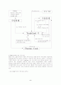 TradeCard 시스템의 실태와 이용료에 관한 고찰 6페이지