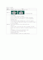 언어지도-기말교안 55페이지