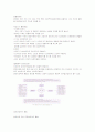 언어지도-기말교안 91페이지